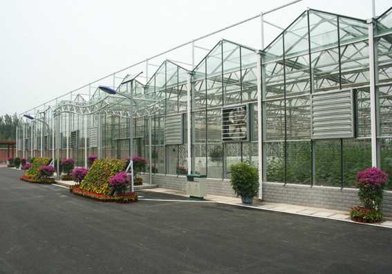 北京武警部队蔬菜温室