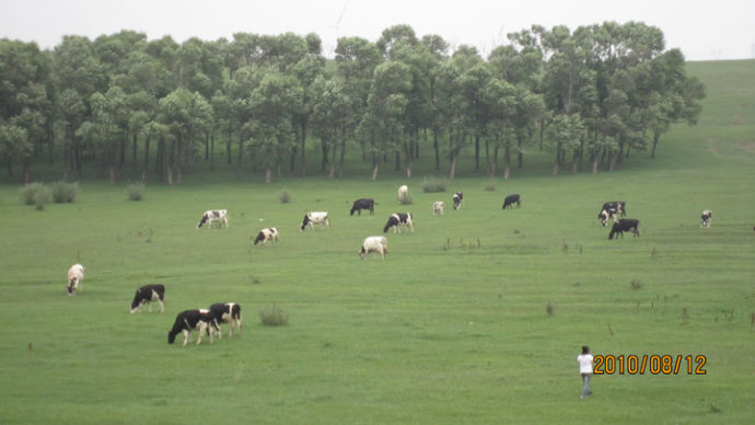 内蒙古察北牧场幼儿园
