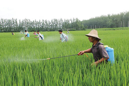湖北武当动物药业