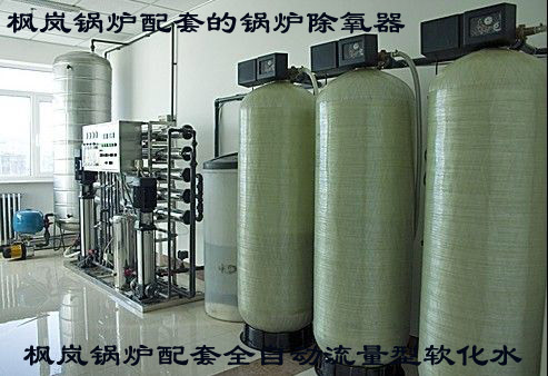 Fenglan Boiler - Fully automatic demineralized water for various types of boilers, thermal deaeration, analytical deaeration equipment