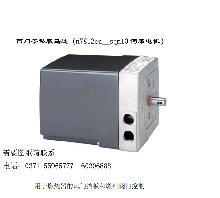 Private server motor (servo motor)