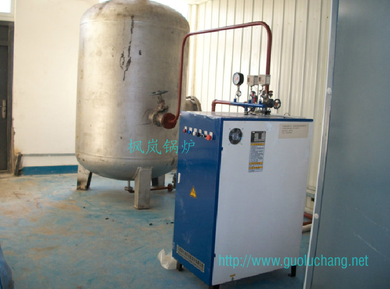 Electric steam boiler and supporting gas storage tank