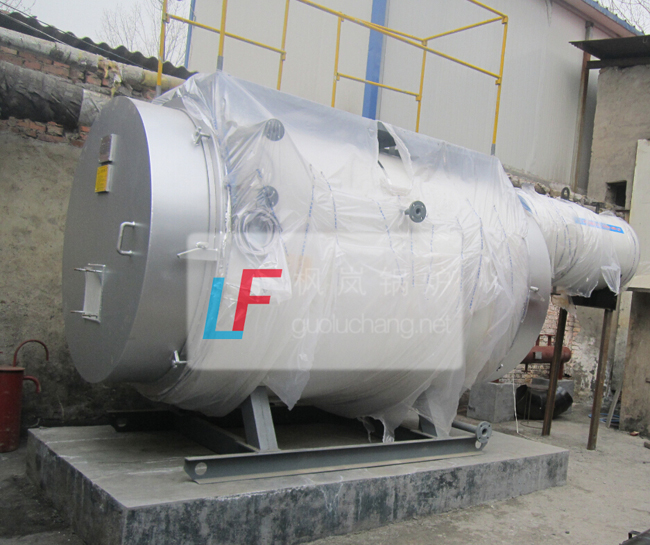 Liquefied Petroleum Gas Boiler
