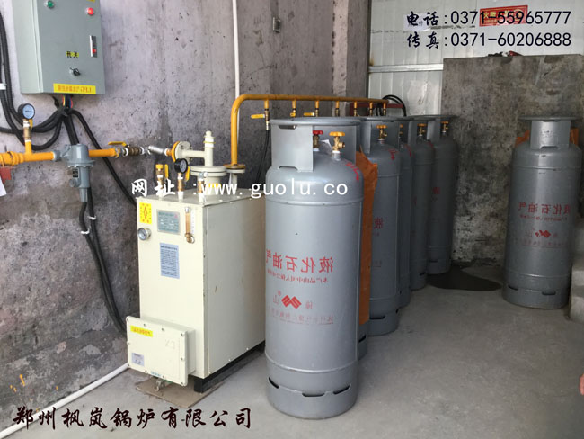Movable container integrated (liquefied petroleum gas) steam boiler