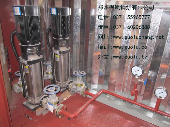 Small (skid mounted) container integrated boiler