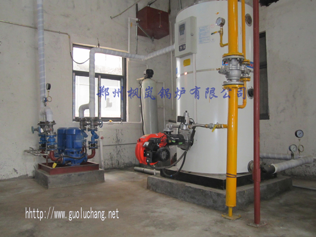 Vertical gas hot water boiler
