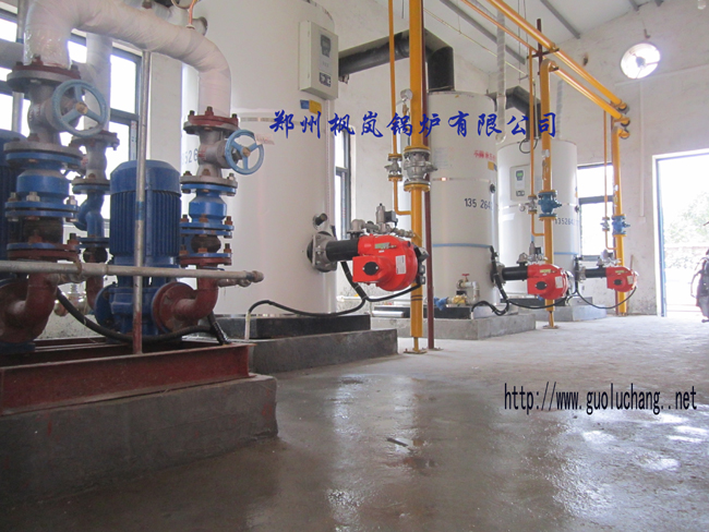 Gas hot water boiler secondary circulation system