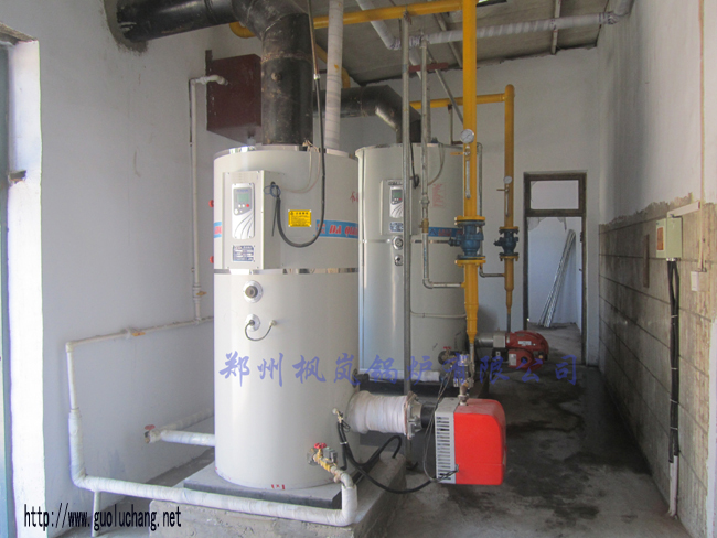 Vertical small hot water boiler