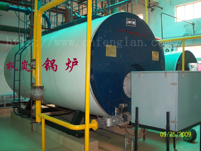 WNS gas pressure hot water boiler