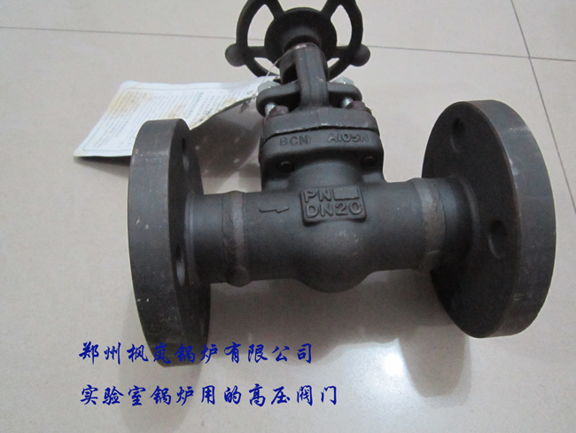 Laboratory boiler ultra-high pressure valve