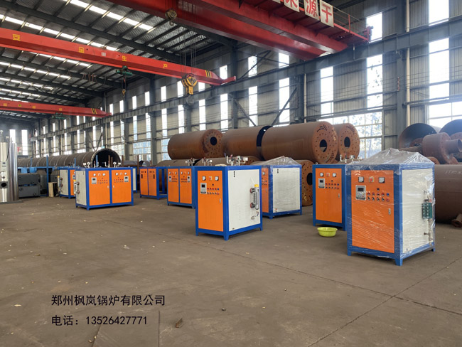 electric steam generator