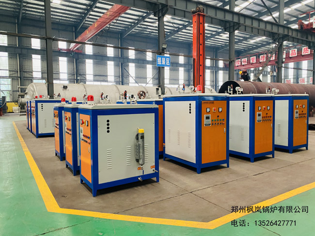 electric steam generator