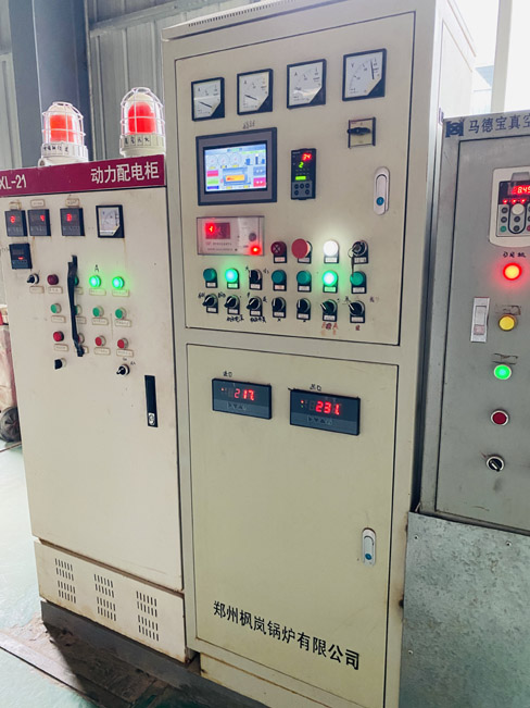 electric steam generator