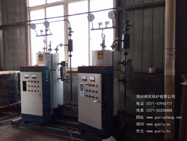 Small integrated (exempt from inspection) electric steam boiler
