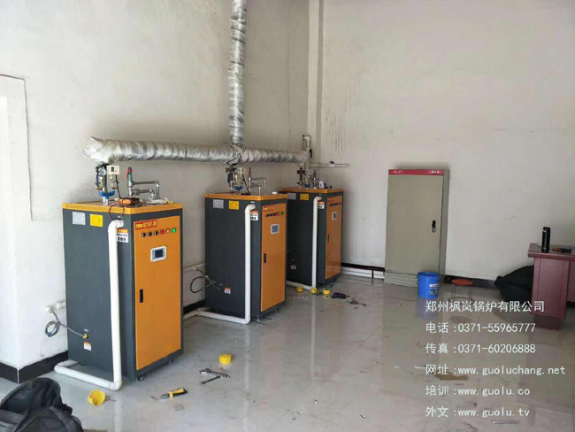 Small integrated (exempt from inspection) electric steam boiler