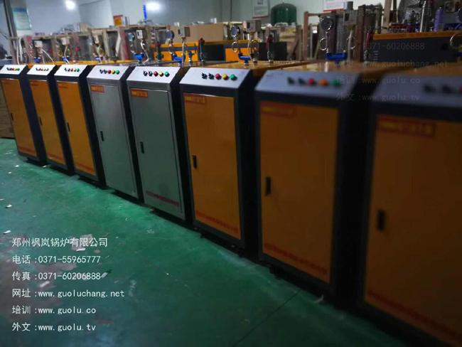 Small integrated (exempt from inspection) electric steam boiler