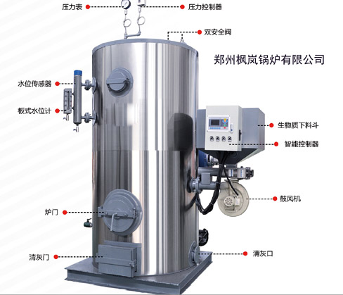 Biomass steam generator