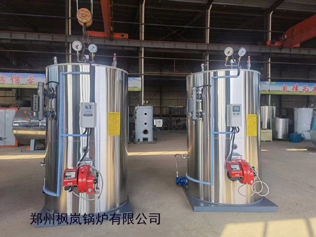 Fuel oil (gas) steam generator