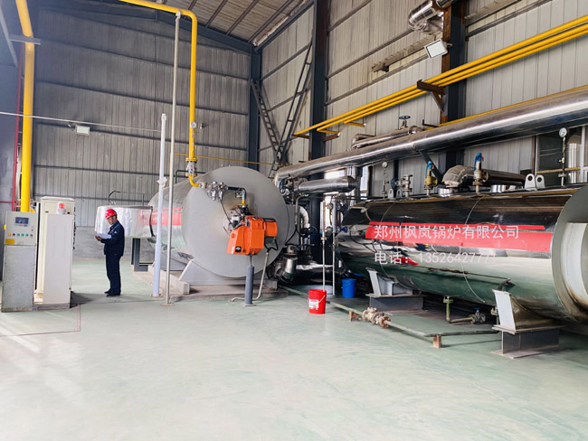 YYQ (W) gas heat conduction oil furnace