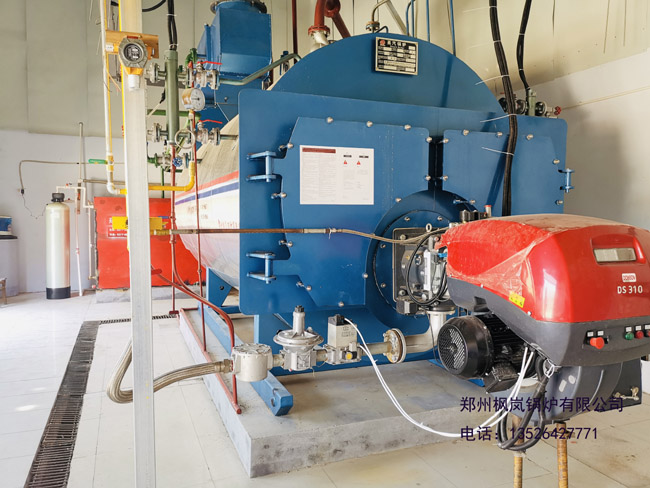Being one-piece condensing steam boiler low nitrogen gas